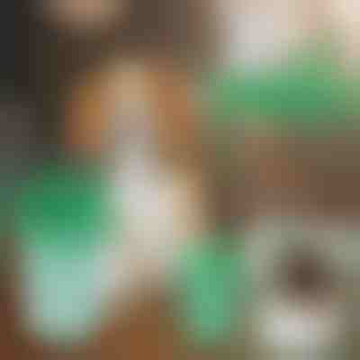 Pojemnik do Czyszczenia Psich Łap | PAWSANI