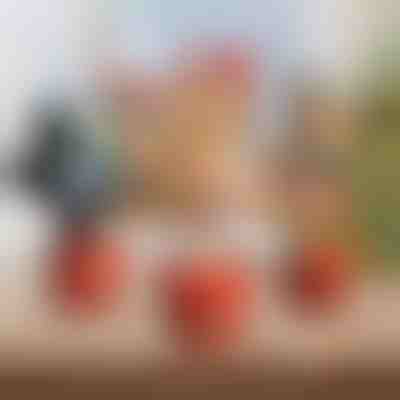 Świąteczna Interaktywna Tańcząca Zabawka | DANCETKO