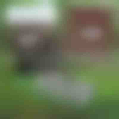 Wielofunkcyjne narzędzie ogrodowe do pielęgnacji gleby | PRONGSPRO