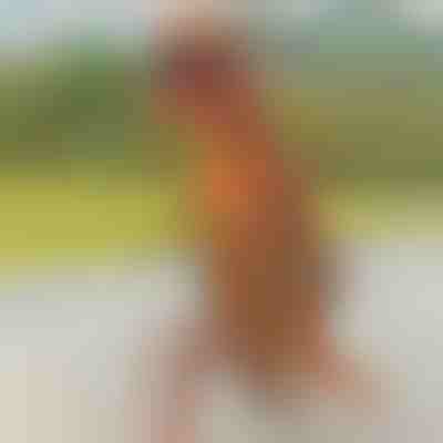 Nadmuchiwany kostium dinozaura | TREXCOS