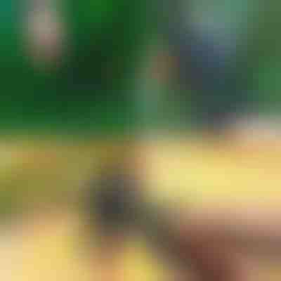 Profesjonalne nożyce do przycinania i szczepienia 2 w 1 | MASTERCUT