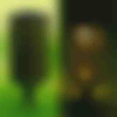 Lampa solarna (2 szt.) | GARDENIAS