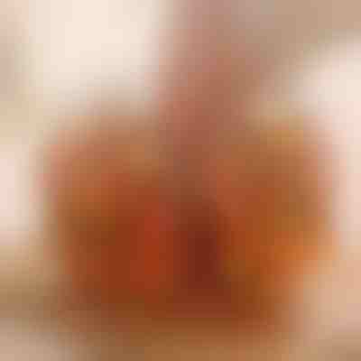 Ruszt do grillowania do frytkownicy beztłuszczowej | AIRROAST