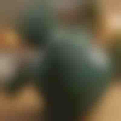 Podgrzewany masażer do shiatsu | MASSORA