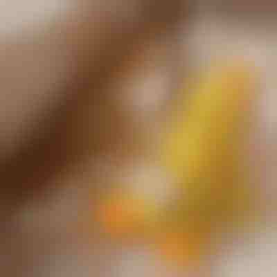 Uspokajająca pluszowa zabawka dla psa z dźwiękiem kwakania - zmniejsza lęk separacyjny | CALMQUA